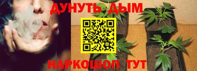 jwh Краснознаменск