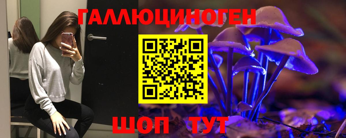 Галлюциногенные грибы мухоморы Коммунар